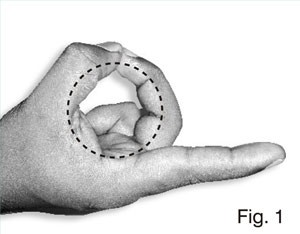 fig-1