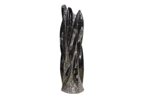 Orthoceras