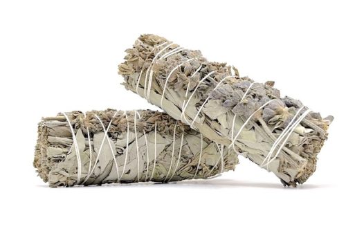 Sage